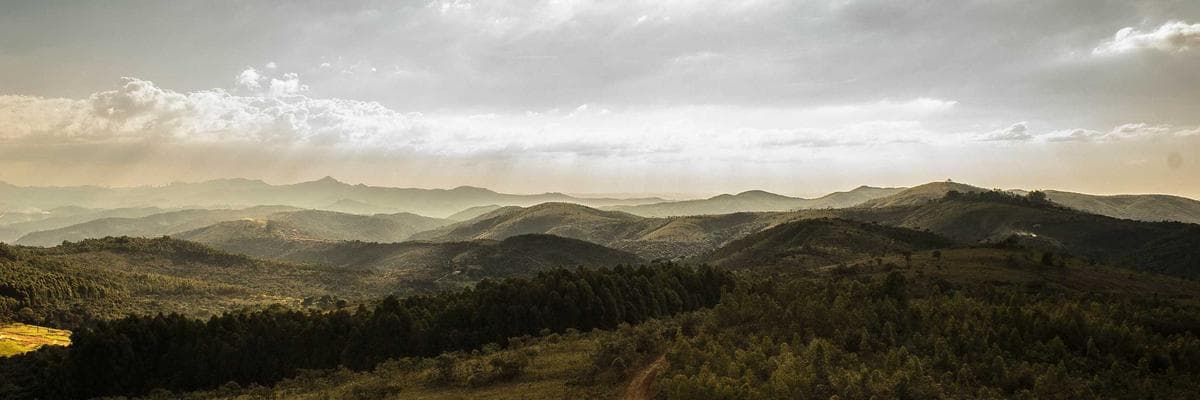 Cover photo