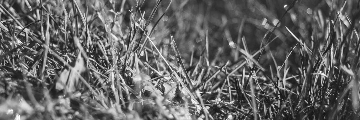Cover photo