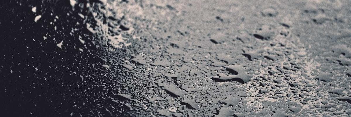Cover photo