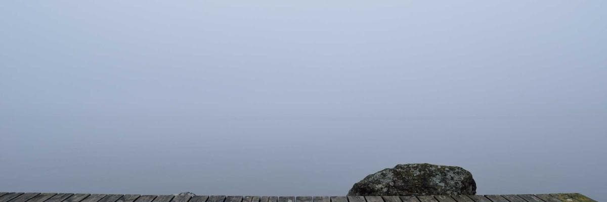 Cover photo